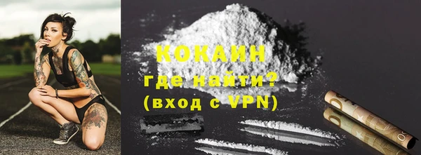 сатива Арсеньев