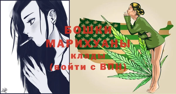 сатива Арсеньев