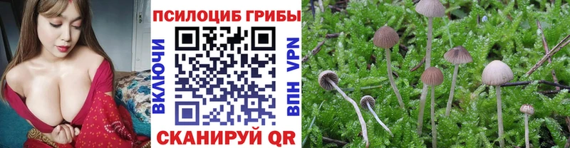 Галлюциногенные грибы Magic Shrooms Мегион